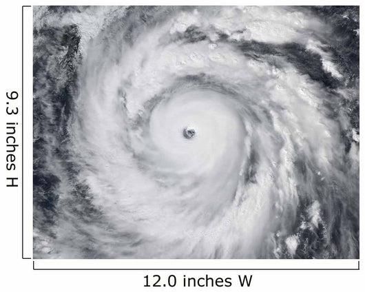 Hurricane Jangmi Wall Decal