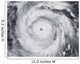 Hurricane Jangmi Wall Decal