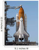 Space Shuttle Endeavour Sits Wall Decal Design 2