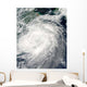 Typhoon Morakot over China Wall Decal