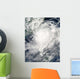 Typhoon Morakot over Taiwan Wall Decal