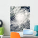Typhoon Morakot over Taiwan Wall Decal
