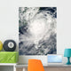 Typhoon Morakot over Taiwan Wall Decal