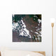 Small Plume Rises from Wall Decal Design 2