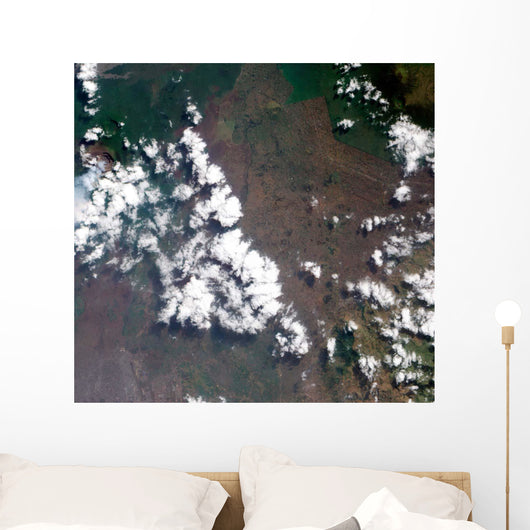 Small Plume Rises from Wall Decal Design 2