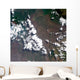 Small Plume Rises from Wall Decal Design 2
