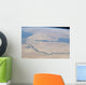 Aerial Egypt and Sinai Wall Decal