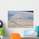 Aerial Egypt and Sinai Wall Decal