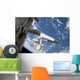 Integrated Cargo Carrier Grasp Wall Decal
