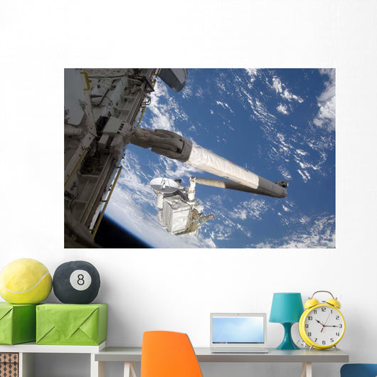 Integrated Cargo Carrier Grasp Wall Decal