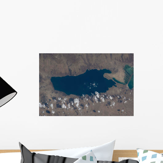 Part Dead Sea and Wall Decal