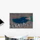 Part Dead Sea and Wall Decal