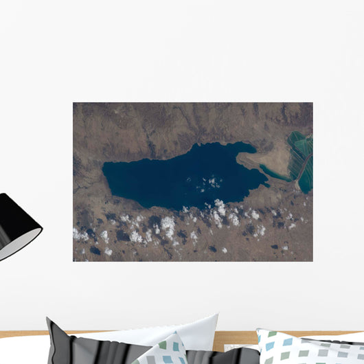 Part Dead Sea and Wall Decal