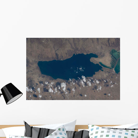 Part Dead Sea and Wall Decal