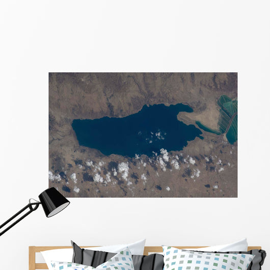 Part Dead Sea and Wall Decal