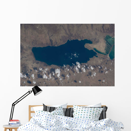 Part Dead Sea and Wall Decal