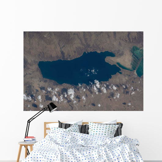 Part Dead Sea and Wall Decal