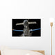 Earth's Limb Intersects Soyuz Wall Decal