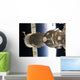 Soyuz Spacecraft Backdropped Earth Wall Decal