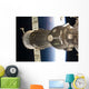 Soyuz Spacecraft Backdropped Earth Wall Decal
