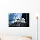 Space Shuttle Discovery Backdropped Wall Decal Design 2