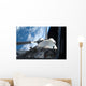 Space Shuttle Discovery Backdropped Wall Decal Design 2