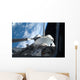 Space Shuttle Discovery Backdropped Wall Decal Design 2