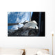 Space Shuttle Discovery Backdropped Wall Decal Design 2