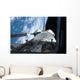 Space Shuttle Discovery Backdropped Wall Decal Design 2