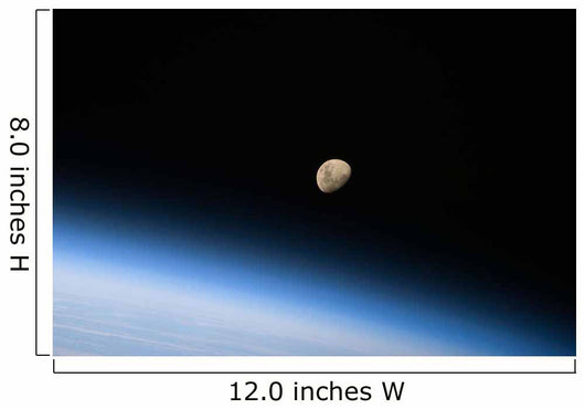 Gibbous Moon Visible above Wall Decal Design 2