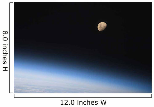 Gibbous Moon Visible above Wall Decal Design 1