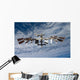 International Space Station Backdropped Wall Decal Design 10