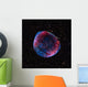 Composite Image Sn 1006 Wall Decal