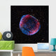 Composite Image Sn 1006 Wall Decal