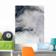 Cloud Patterns and Sea Wall Decal