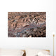 Three-dimensional Landscape Lhasa Tibet Wall Decal