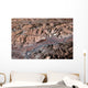 Three-dimensional Landscape Lhasa Tibet Wall Decal