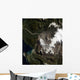 Chaita N Volcano Wall Decal