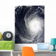 Super Typhoon Melor Hovers Wall Decal