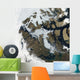 Northwest Passage Wall Decal