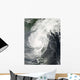 Tropical Storm Parm Wall Decal