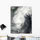 Tropical Storm Parm Wall Decal