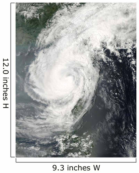 Tropical Storm Parm Wall Decal