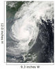 Tropical Storm Parm Wall Decal