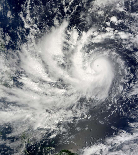 Typhoon Parma Heading Westward Wall Decal