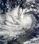 Typhoon Parma Heading Westward Wall Decal