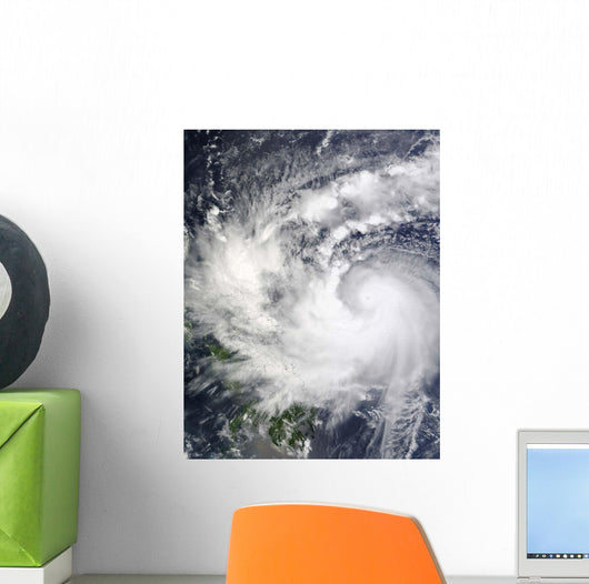 Typhoon Parma Wall Decal