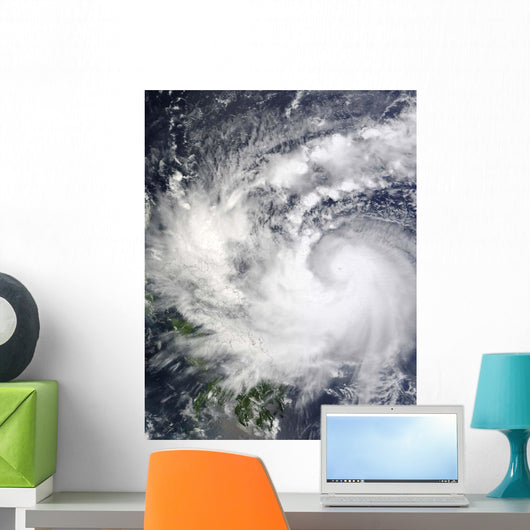 Typhoon Parma Wall Decal