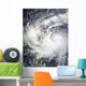Typhoon Parma Wall Decal