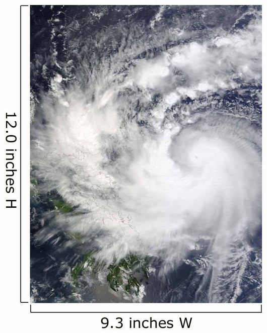 Typhoon Parma Wall Decal